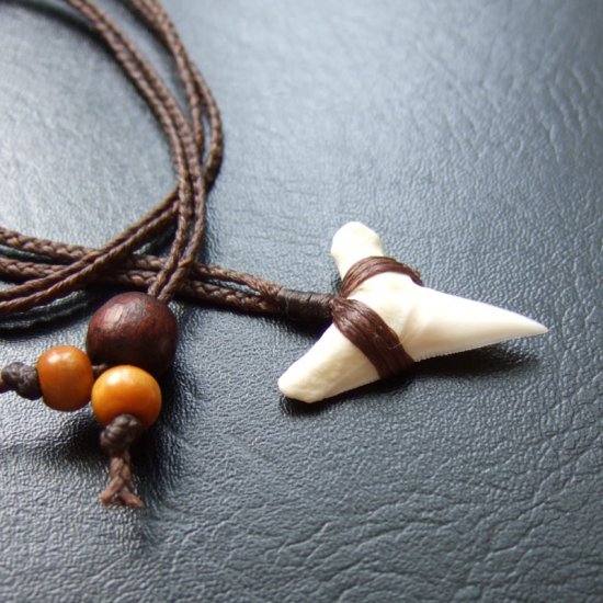 【表示現品】本物のサメの歯（ブル・シャーク）ネックレス - 20773zhb