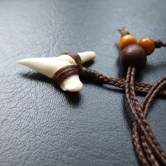 【表示現品】本物のサメの歯（ブル・シャーク）ネックレス - 20773zhb