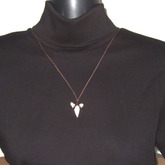 【表示現品】本物のサメの歯（ブル・シャーク）ネックレス - 20773zhb