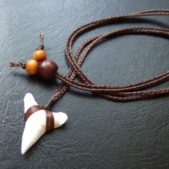 【表示現品】本物のサメの歯（ブル・シャーク）ネックレス - 20773zhb