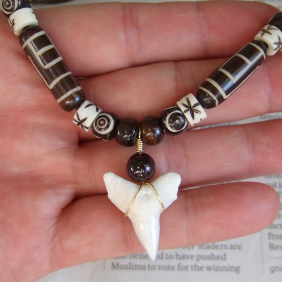 【表示現品】オオメジロザメの歯（下あご）ネックレス - 20776zhb