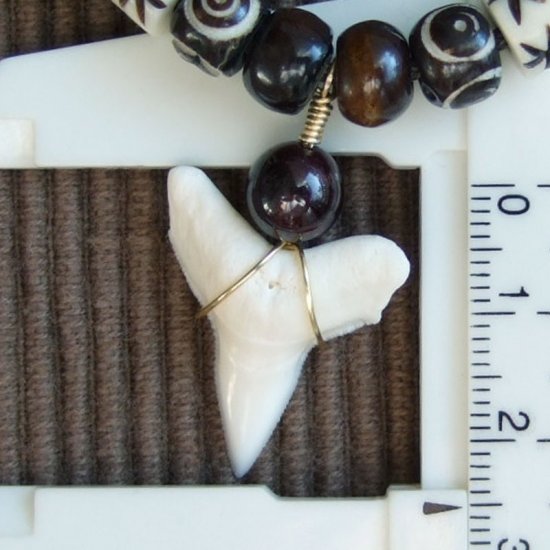 【表示現品】オオメジロザメの歯（下あご）ネックレス - 20776zhb