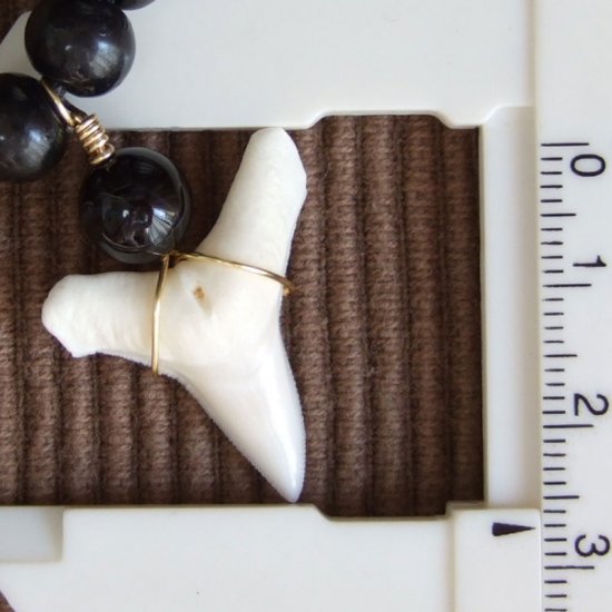 【表示現品】オオメジロザメの歯（下あご）ネックレス - 20777zhb