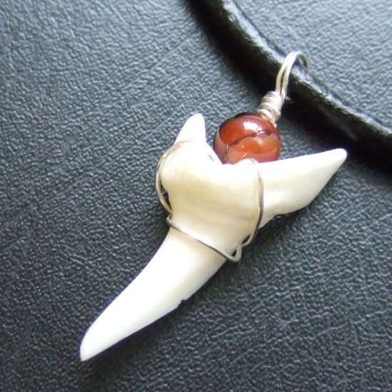 【表示現品】3.2cm アオザメ の歯メノウビーズ ペンダント - 20788zhb