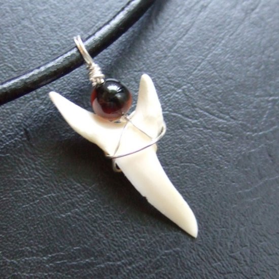 【表示現品】3.2cm アオザメ の歯メノウビーズ ペンダント - 20788zhb