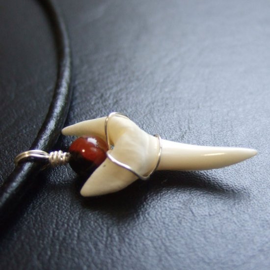 【表示現品】3.2cm アオザメ の歯メノウビーズ ペンダント - 20788zhb