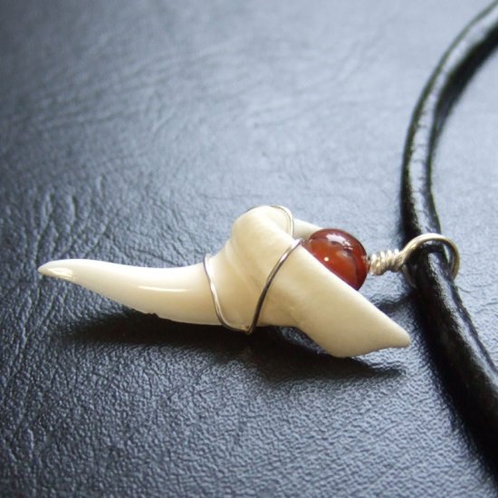 【表示現品】3.2cm アオザメ の歯メノウビーズ ペンダント - 20788zhb