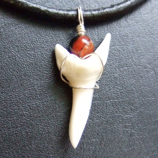 【表示現品】3.2cm アオザメ の歯メノウビーズ ペンダント - 20788zhb