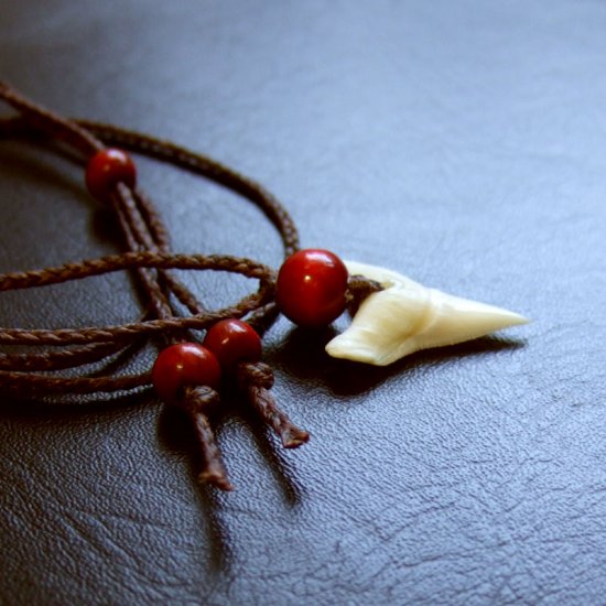 【表示現品】2.5cm 大型オオメジロザメの歯（下あご）ペンダント - 20810zhb