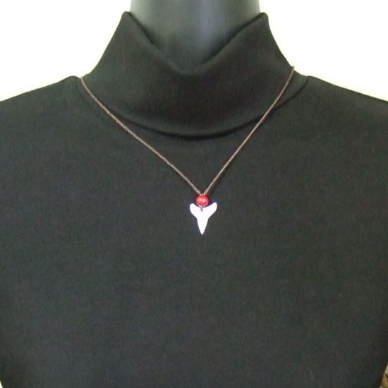 【表示現品】2.5cm 大型オオメジロザメの歯（下あご）ペンダント - 20810zhb