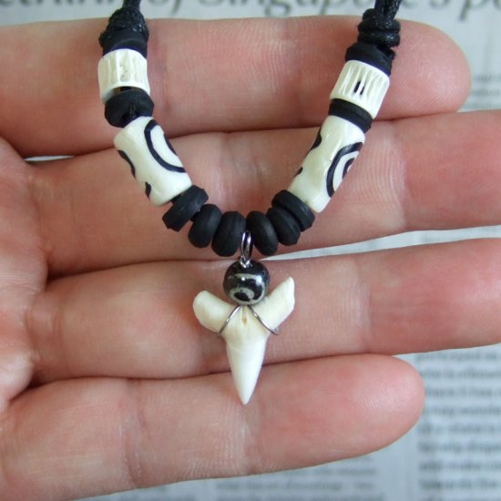 【表示現品】本物のサメの歯ネックレス（メジロザメ小型下あご） - 20818zhb