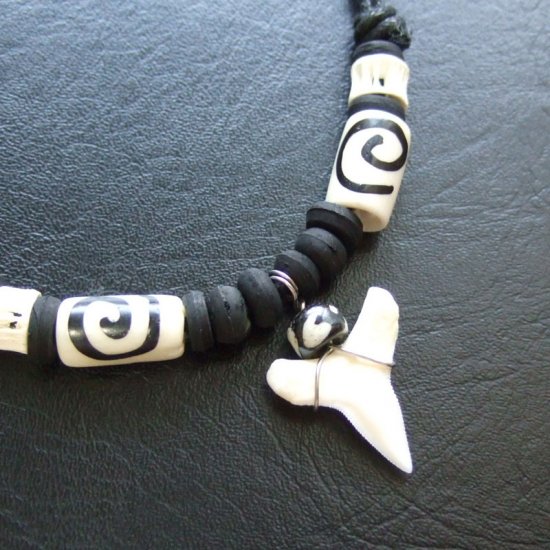 【表示現品】本物のサメの歯ネックレス（メジロザメ小型下あご） - 20819zhb