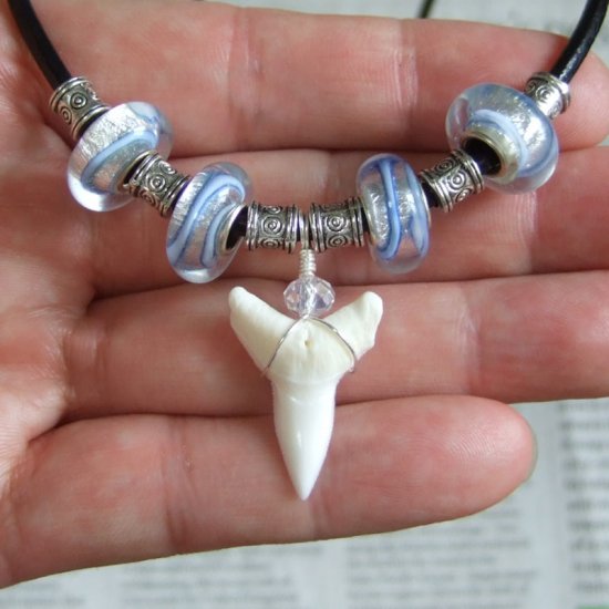 【表示現品】2.5cm 大型オオメジロザメの歯ペンダント - 20832zhb