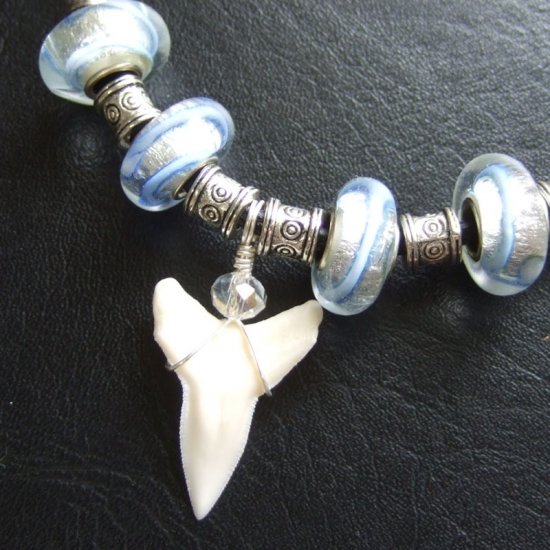 【表示現品】2.5cm 大型オオメジロザメの歯ペンダント - 20832zhb