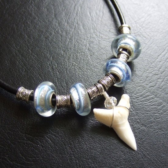 【表示現品】2.5cm 大型オオメジロザメの歯ペンダント - 20832zhb