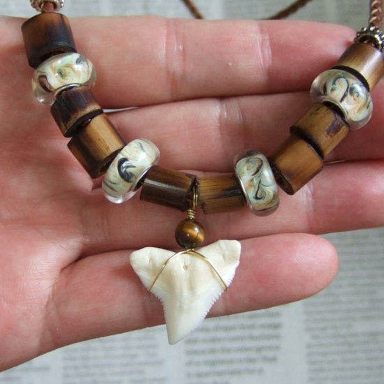 【表示現品】2.5cm メジロザメの歯ペンダント - 20839zhb