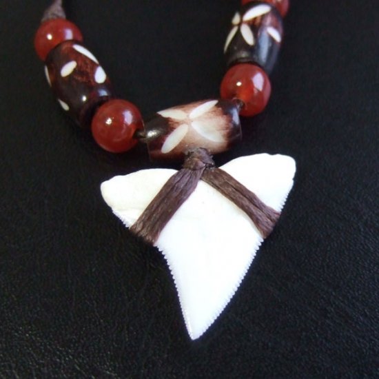 【表示現品】サメの歯ネックレス（大型オオメジロザメ上あご 2.5cm） - 20859zhb