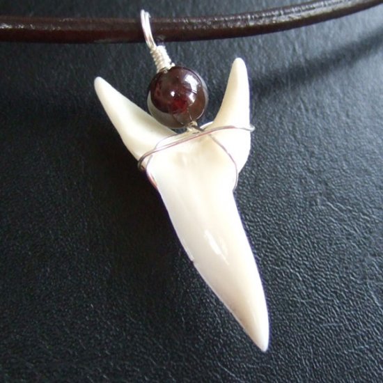 【表示現品】4.1cm アオザメ の歯メノウビーズ ペンダント - 20866zhb