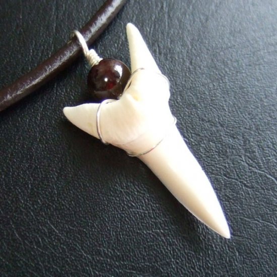 【表示現品】4.1cm アオザメ の歯メノウビーズ ペンダント - 20866zhb