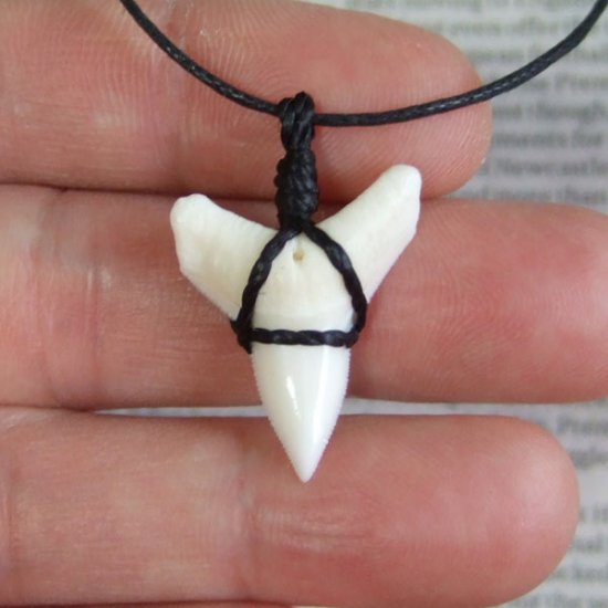 【表示現品】オオメジロザメの歯コードネックレス（下あごの歯・大） - 20868zhb