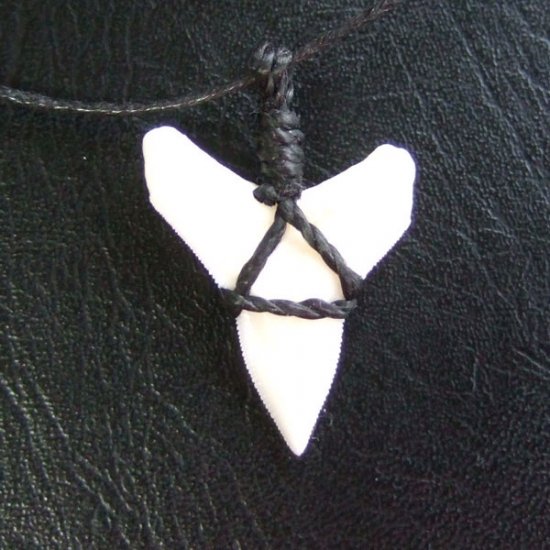 【表示現品】オオメジロザメの歯コードネックレス（下あごの歯・大） - 20868zhb