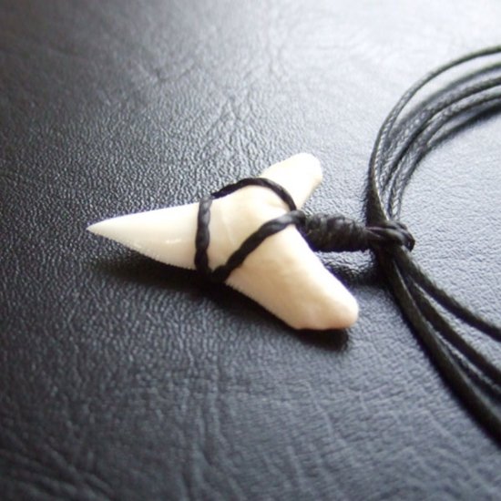 【表示現品】オオメジロザメの歯コードネックレス（下あごの歯・大） - 20868zhb