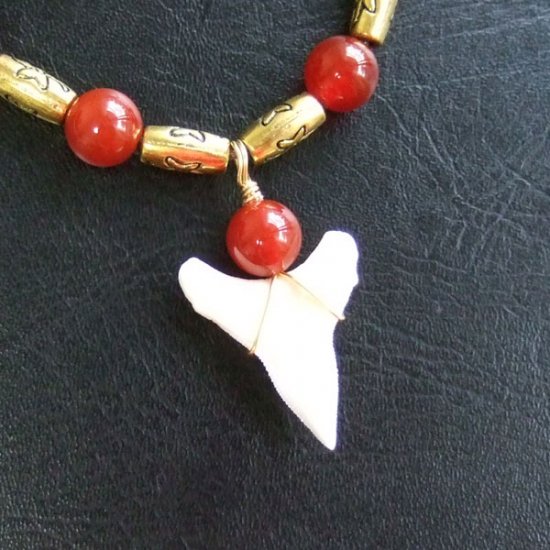 2.5cm メジロザメの歯ネックレス - 20869zhb