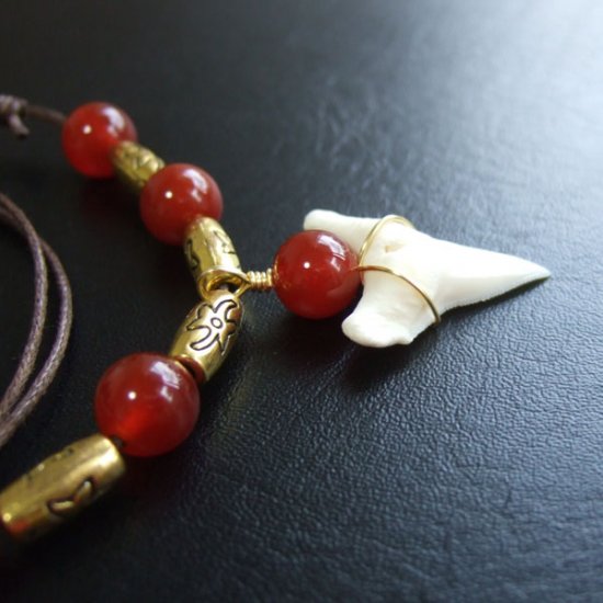 2.5cm メジロザメの歯ネックレス - 20869zhb