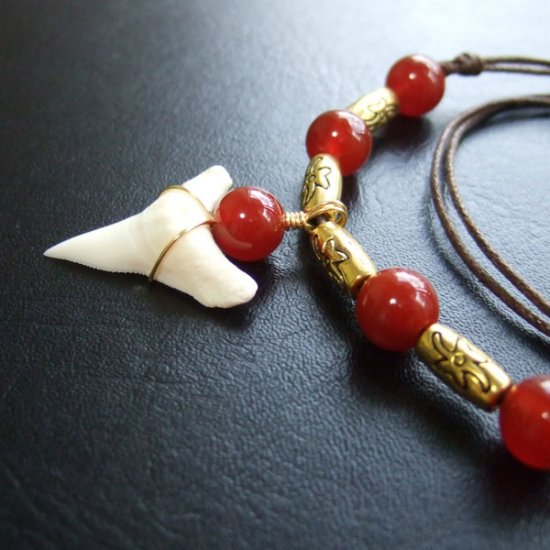 2.5cm メジロザメの歯ネックレス - 20869zhb