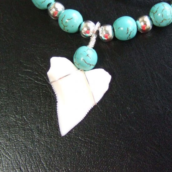 2.5cm メジロザメの歯ネックレス（上あごの歯） - 20870zhb