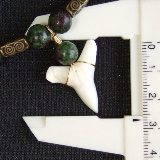 2.5cm メジロザメの歯ネックレス（下あごの歯） - 20871zhb