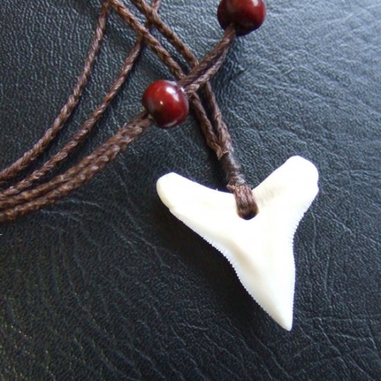 【表示現品】2.6.cm 大型オオメジロザメの歯ペンダント - 20888zhb