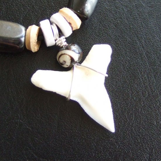 【表示現品】オオメジロザメの歯（下あご）ネックレス - 20898zhb