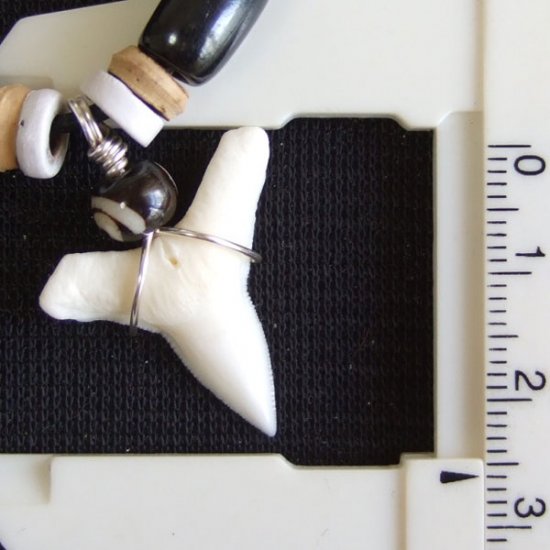 【表示現品】オオメジロザメの歯（下あご）ネックレス - 20898zhb