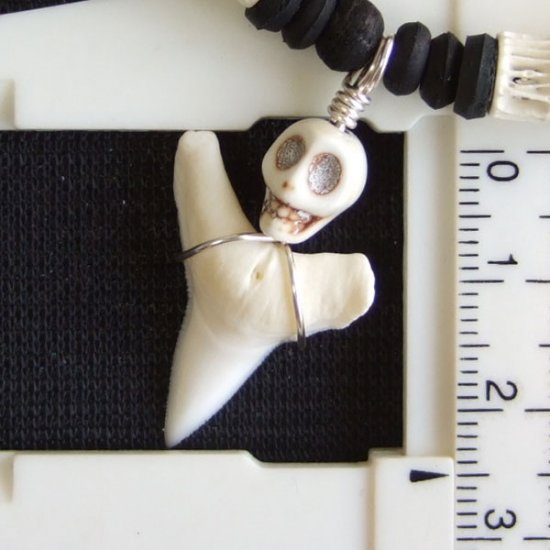 【表示現品】オオメジロザメの歯（下あご）ネックレス - 20899zhb