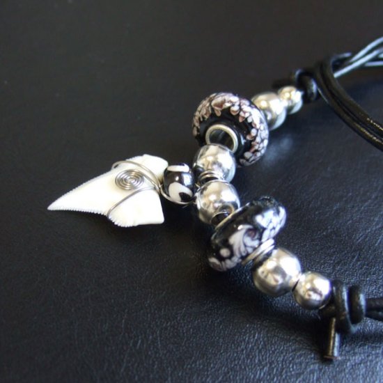 【表示現品】サメの歯ネックレス（オオメジロザメの歯） - 20927zhb