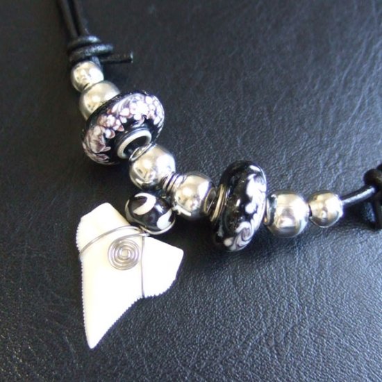 【表示現品】サメの歯ネックレス（オオメジロザメの歯） - 20927zhb