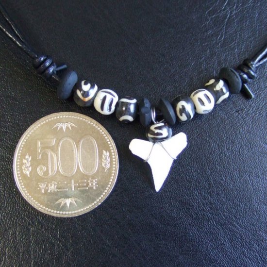 【表示現品】サメの歯ネックレス（オオメジロザメの歯） - 20929zhb