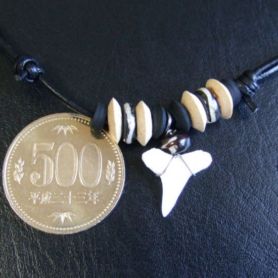 【表示現品】サメの歯ネックレス（オオメジロザメの歯） - 20931zhb