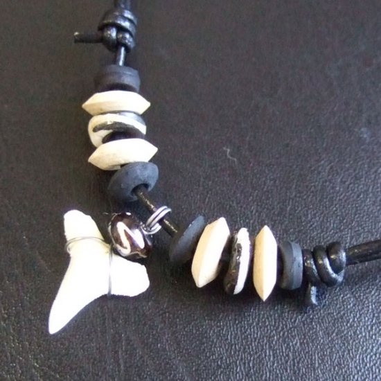 【表示現品】サメの歯ネックレス（オオメジロザメの歯） - 20931zhb