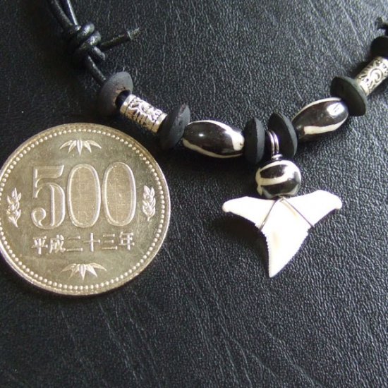 【表示現品】サメの歯ネックレス（オオメジロザメの歯） - 20939zhb