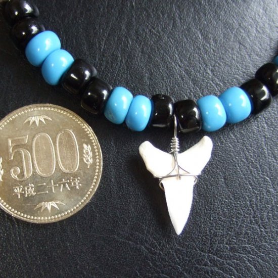 【表示現品】オオメジロザメの歯（下）ウッドビーズチョーカー - 20945zhb