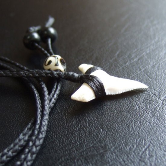 【表示現品】本物のサメの歯（ブル・シャーク）ネックレス - 20987zhb