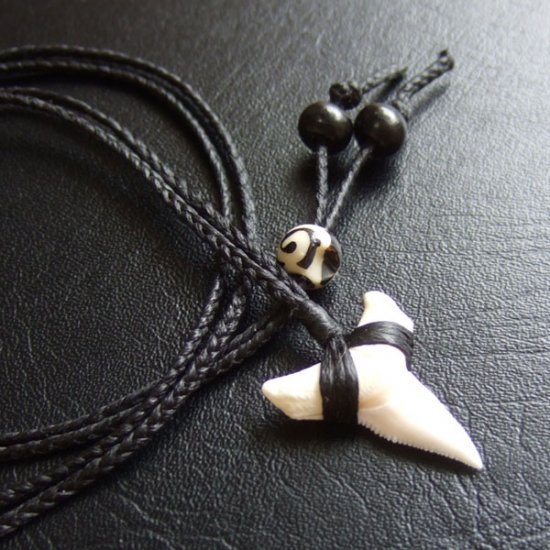 【表示現品】本物のサメの歯（ブル・シャーク）ネックレス - 20987zhb