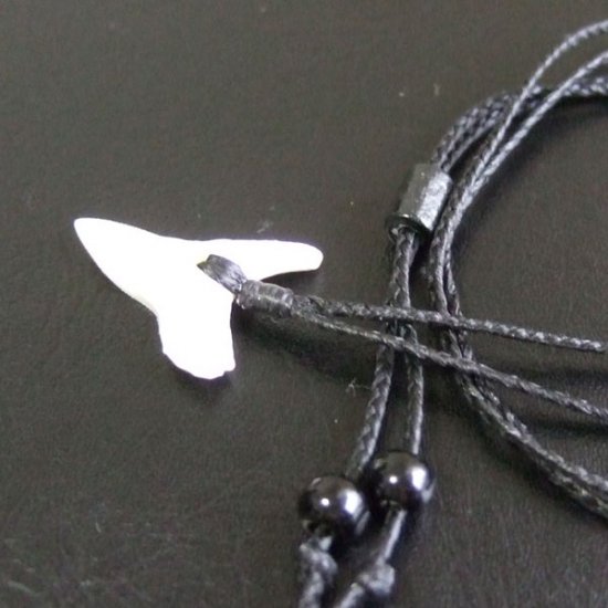 【表示現品】2.6.cm 大型オオメジロザメの歯ペンダント - 21035zhb