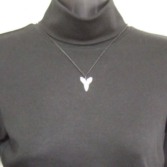 【表示現品】2.6.cm 大型オオメジロザメの歯ペンダント - 21035zhb