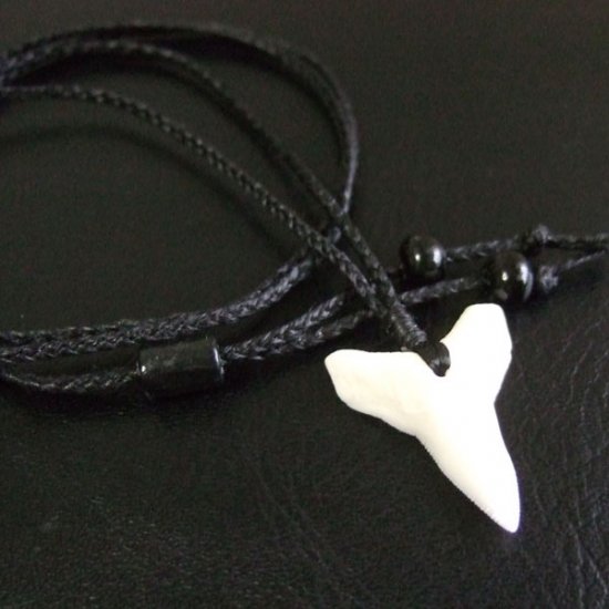 【表示現品】2.6.cm 大型オオメジロザメの歯ペンダント - 21035zhb