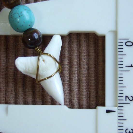 【表示現品】オオメジロザメの歯・ビーズネックレス - 21097zhb