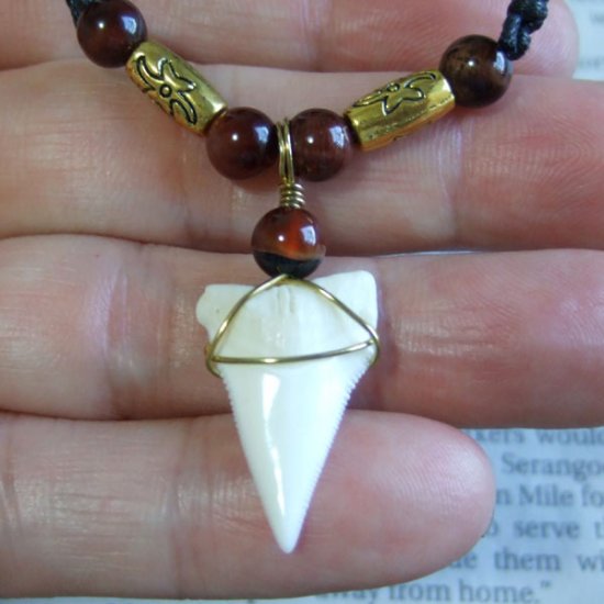 【表示現品】大型メジロザメの歯 ペンダント - 21101zhb