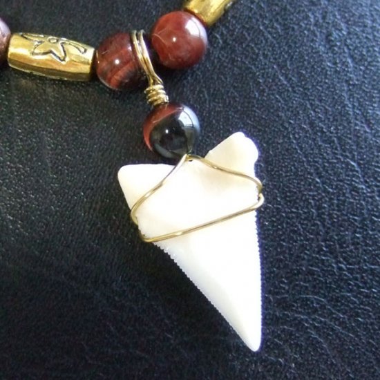 【表示現品】大型メジロザメの歯 ペンダント - 21101zhb